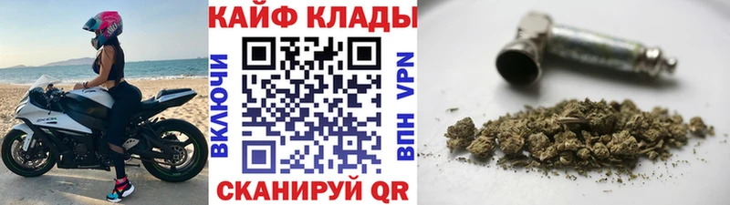Где продают наркотики Новодвинск A PVP  Мефедрон  Псилоцибиновые грибы  МАРИХУАНА  ГАШ 