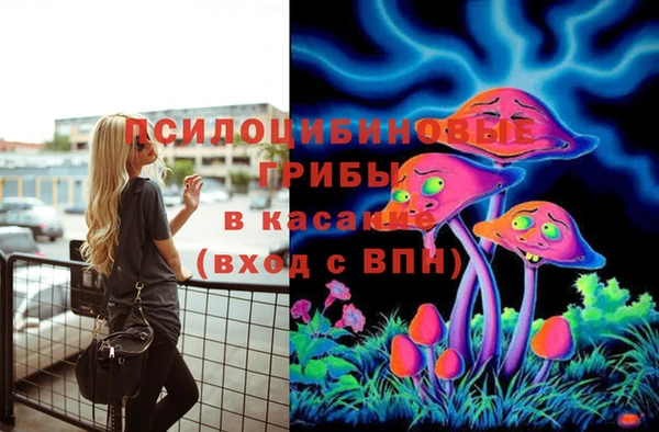 трава Армянск