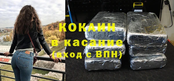 крисы Баксан