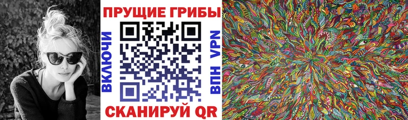 Галлюциногенные грибы GOLDEN TEACHER  где продают   Новодвинск 